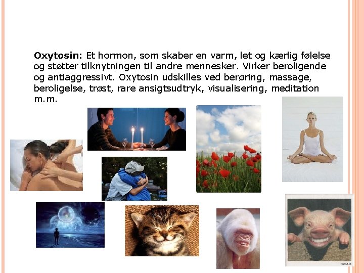 Oxytosin: Et hormon, som skaber en varm, let og kærlig følelse og støtter tilknytningen