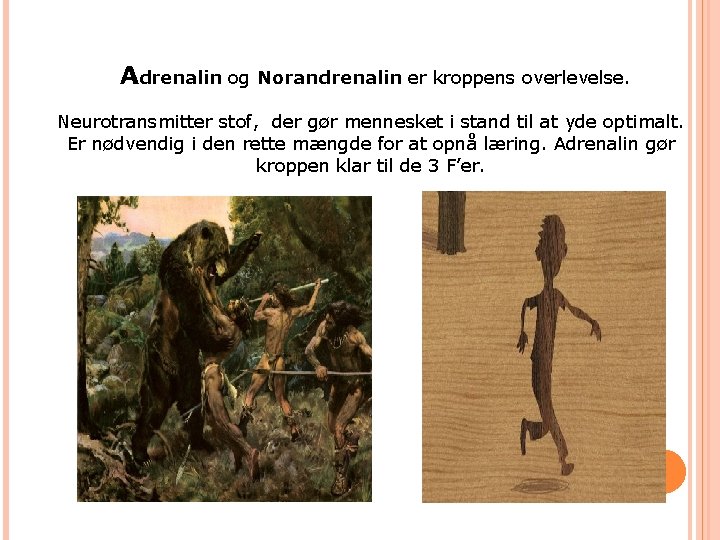 Adrenalin og Norandrenalin er kroppens overlevelse. Neurotransmitter stof, der gør mennesket i stand til