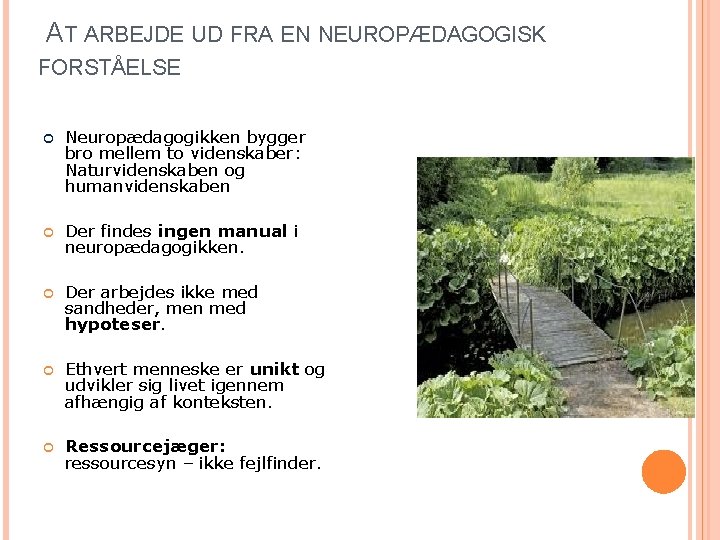  AT ARBEJDE UD FRA EN NEUROPÆDAGOGISK FORSTÅELSE Neuropædagogikken bygger bro mellem to videnskaber: