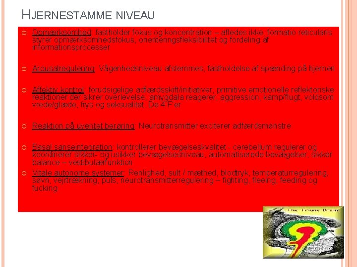 HJERNESTAMME NIVEAU Opmærksomhed: fastholder fokus og koncentration – afledes ikke, formatio reticularis styrer opmærksomhedsfokus,