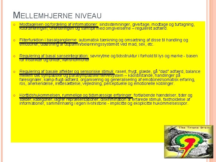 MELLEMHJERNE NIVEAU Modtagelsen og fordeling af informationer: sindsstemninger, give/tage, modtage og turtagning, koordineringen, orienteringen