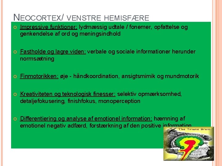 NEOCORTEX/ VENSTRE HEMISFÆRE Impressive funktioner: lydmæssig udtale / fonemer, opfattelse og genkendelse af ord