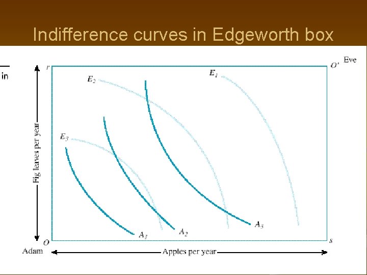 Indifference curves in Edgeworth box 