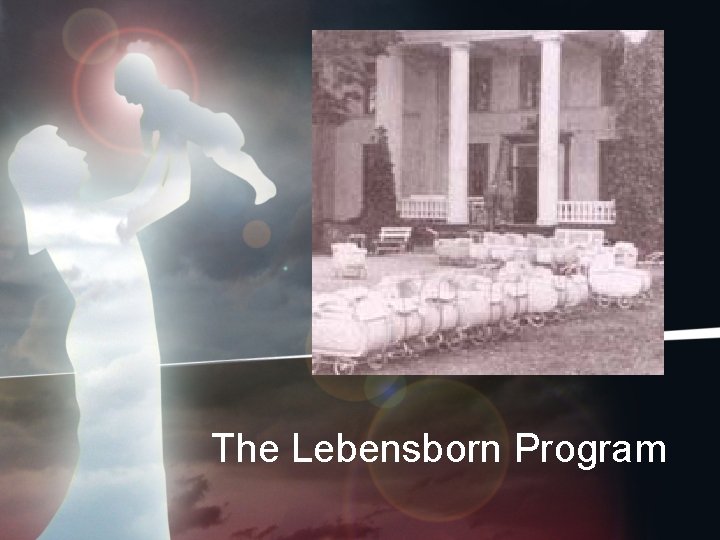 The Lebensborn Program 
