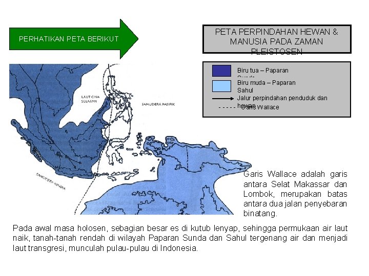 PERHATIKAN PETA BERIKUT PETA PERPINDAHAN HEWAN & MANUSIA PADA ZAMAN PLEISTOSEN Biru tua –