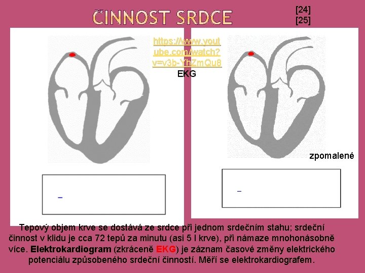 [24] [25] https: //www. yout ube. com/watch? v=v 3 b-Yh. Zm. Qu 8 EKG