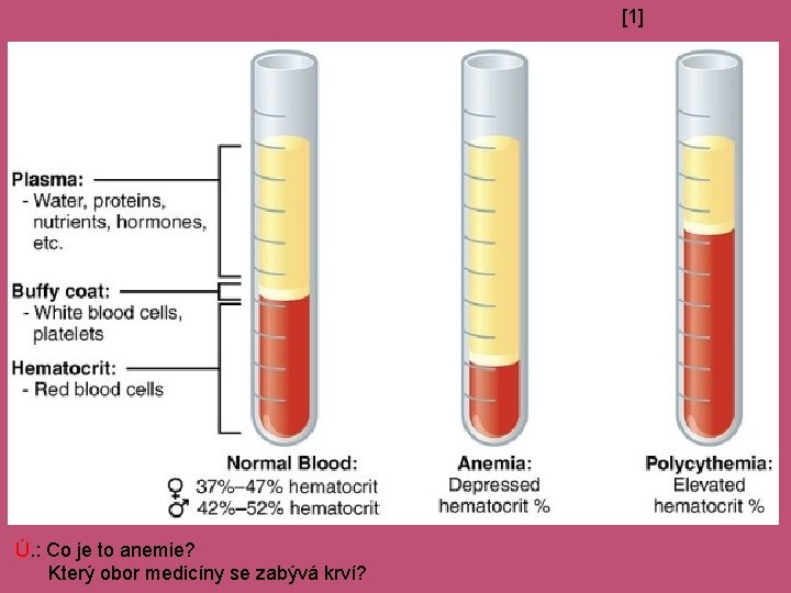 [1] Ú. : Co je to anemie? Který obor medicíny se zabývá krví? 