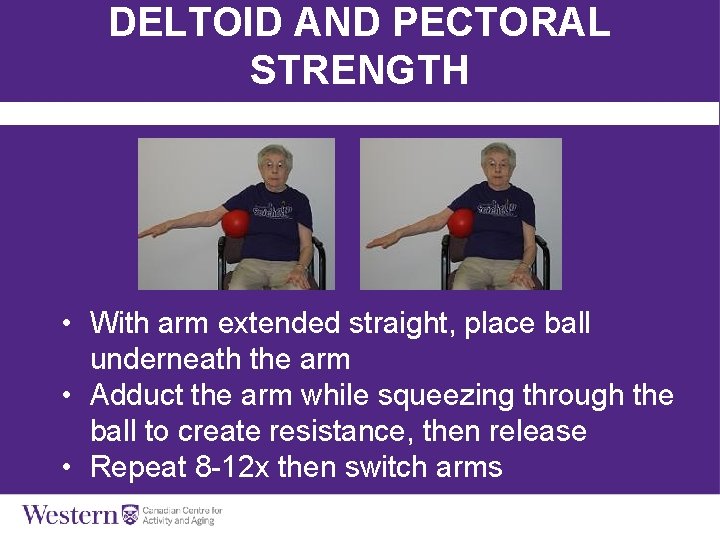 DELTOID AND PECTORAL STRENGTH • With arm extended straight, place ball underneath the arm