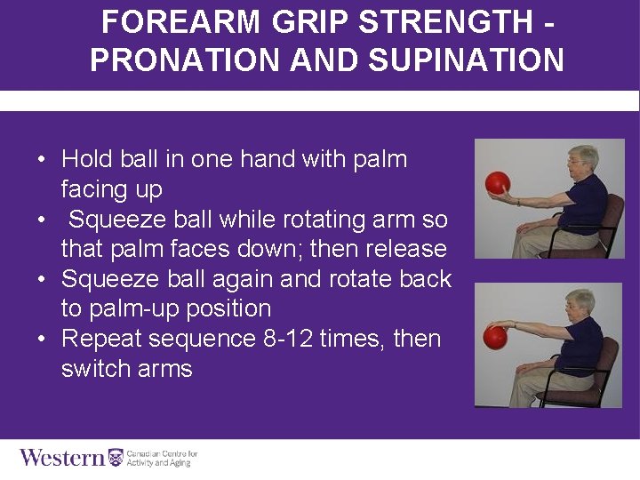 FOREARM GRIP STRENGTH PRONATION AND SUPINATION • Hold ball in one hand with palm