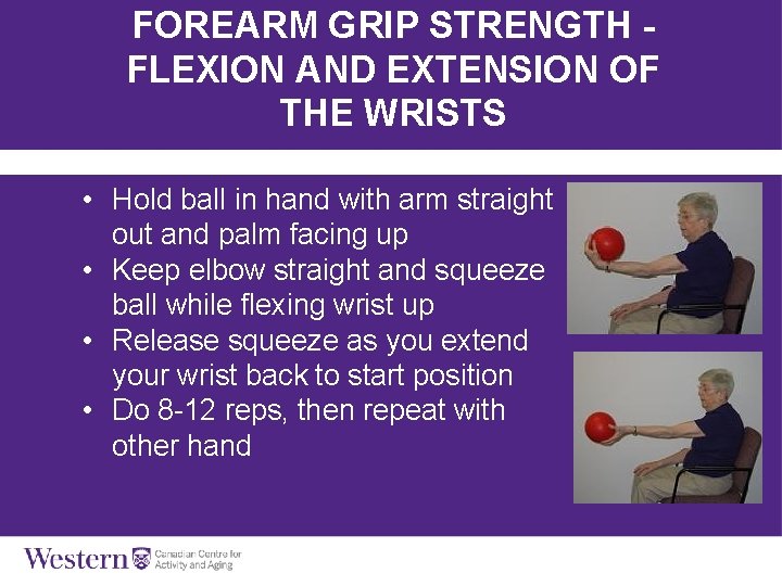 FOREARM GRIP STRENGTH FLEXION AND EXTENSION OF THE WRISTS • Hold ball in hand