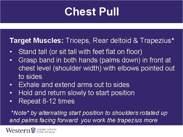 Chest Pull Target Muscles: Triceps, Rear deltoid & Trapezius* • Stand tall (or sit