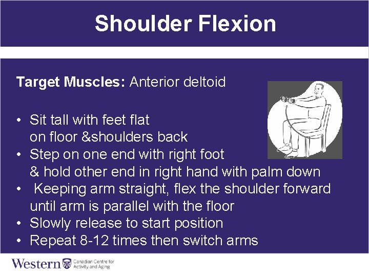 Shoulder Flexion Target Muscles: Anterior deltoid • Sit tall with feet flat on floor