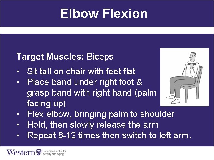 Elbow Flexion Target Muscles: Biceps • Sit tall on chair with feet flat •