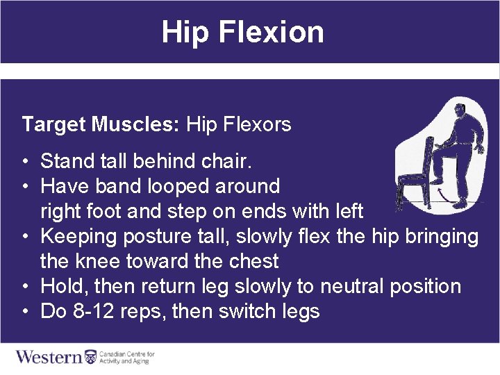 Hip Flexion Target Muscles: Hip Flexors • Stand tall behind chair. • Have band