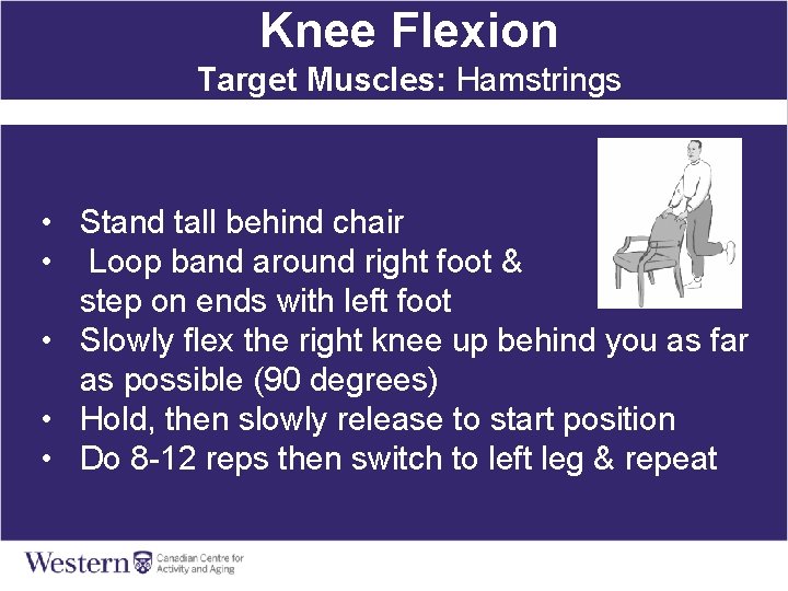 Knee Flexion Target Muscles: Hamstrings • Stand tall behind chair • Loop band around