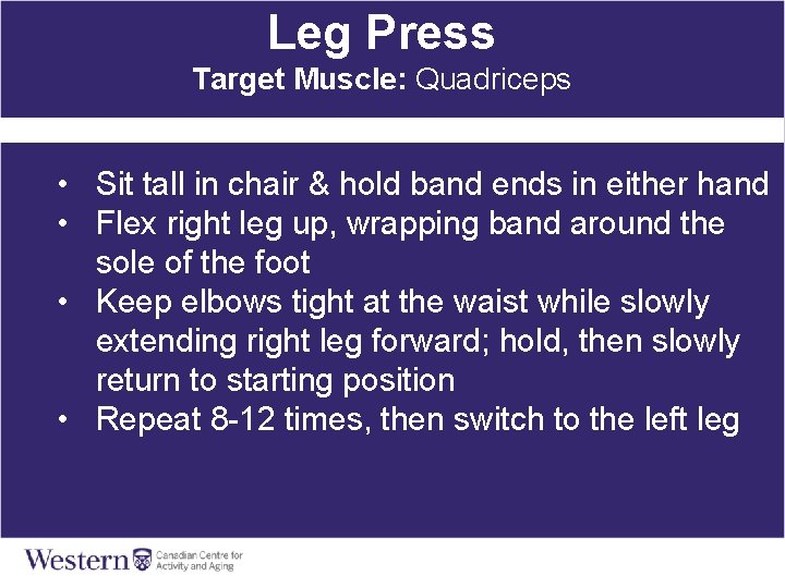 Leg Press Target Muscle: Quadriceps • Sit tall in chair & hold band ends