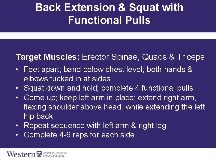 Back Extension & Squat with Functional Pulls Target Muscles: Erector Spinae, Quads & Triceps