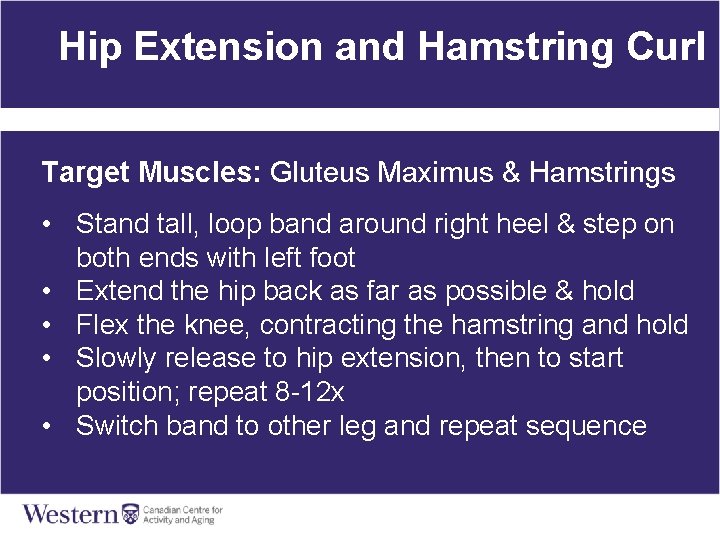 Hip Extension and Hamstring Curl Target Muscles: Gluteus Maximus & Hamstrings • Stand tall,