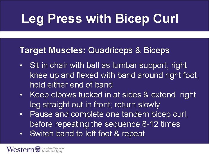 Leg Press with Bicep Curl Target Muscles: Quadriceps & Biceps • Sit in chair