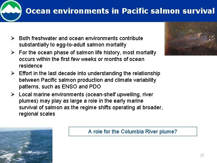 Ocean environments in Pacific salmon survival Ø Both freshwater and ocean environments contribute substantially