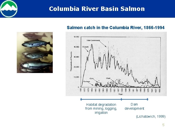 Columbia River Basin Salmon catch in the Columbia River, 1866 -1994 Habitat degradation from