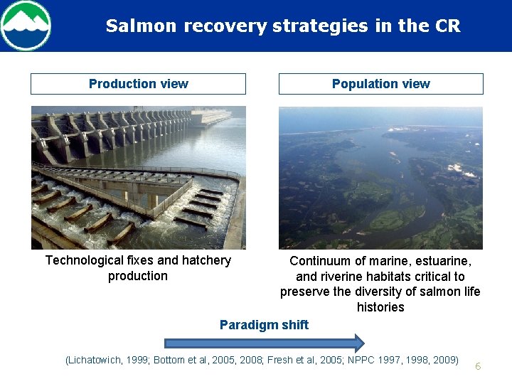Salmon recovery strategies in the CR Production view Population view Technological fixes and hatchery