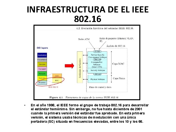 INFRAESTRUCTURA DE EL IEEE 802. 16 • En el año 1998, el IEEE formo