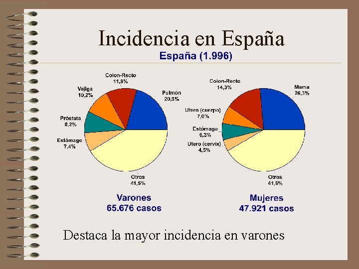 Incidencia en España Destaca la mayor incidencia en varones 