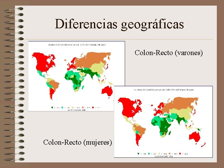 Diferencias geográficas Colon-Recto (varones) Colon-Recto (mujeres) 