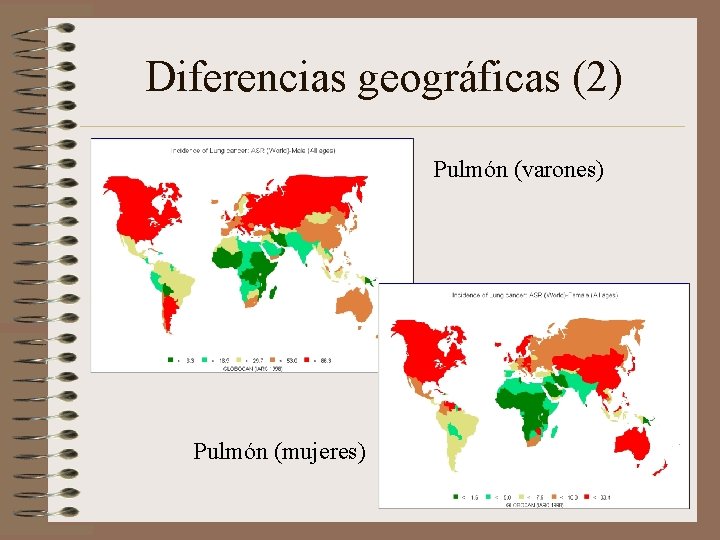 Diferencias geográficas (2) Pulmón (varones) Pulmón (mujeres) 