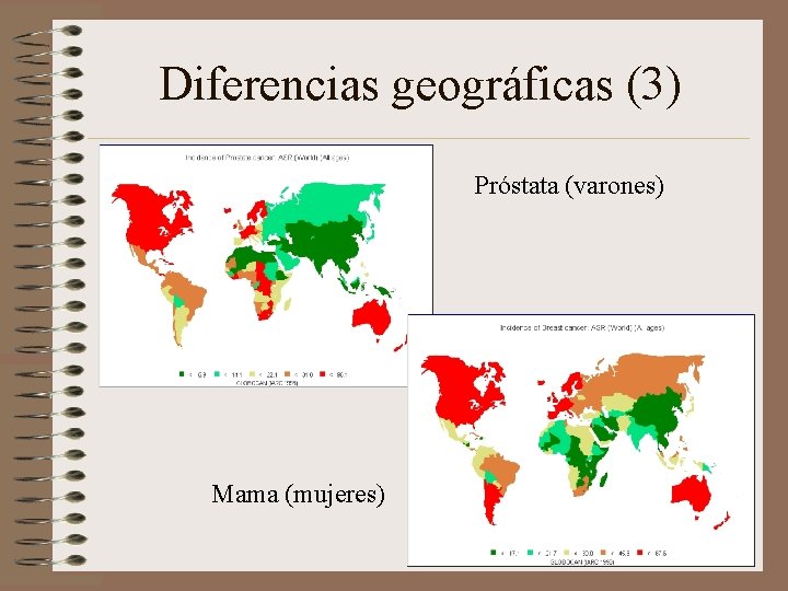 Diferencias geográficas (3) Próstata (varones) Mama (mujeres) 