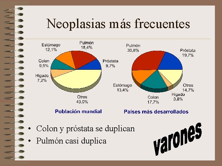 Neoplasias más frecuentes • Colon y próstata se duplican • Pulmón casi duplica 