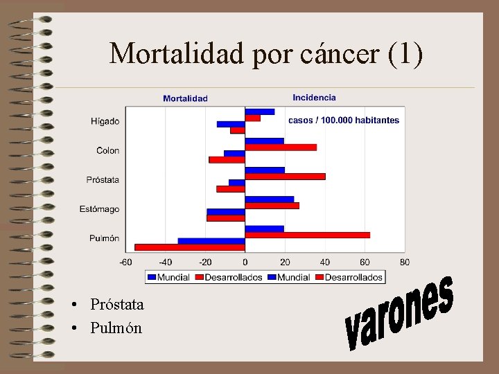 Mortalidad por cáncer (1) • Próstata • Pulmón 