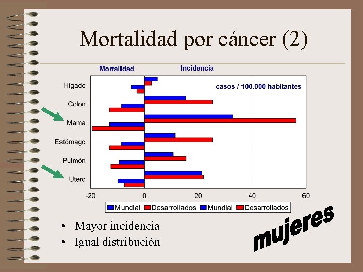 Mortalidad por cáncer (2) • Mayor incidencia • Igual distribución 