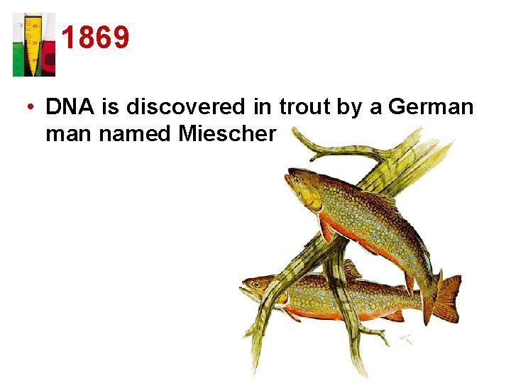 1869 • DNA is discovered in trout by a German named Miescher 