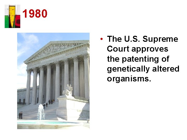 1980 • The U. S. Supreme Court approves the patenting of genetically altered organisms.