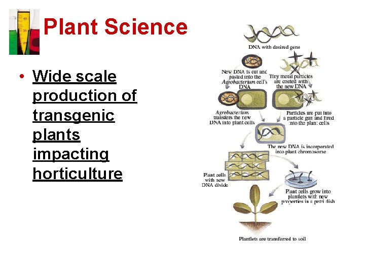 Plant Science • Wide scale production of transgenic plants impacting horticulture 