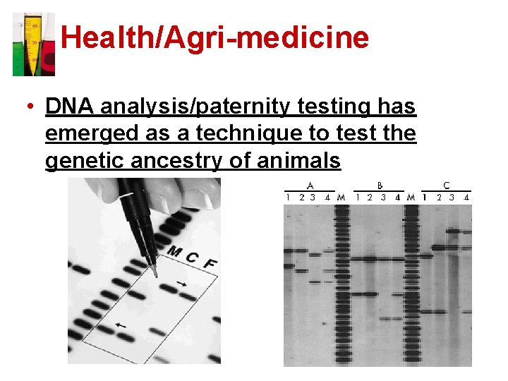 Health/Agri-medicine • DNA analysis/paternity testing has emerged as a technique to test the genetic