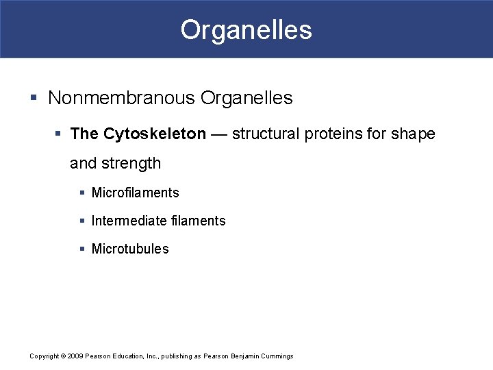 Organelles § Nonmembranous Organelles § The Cytoskeleton — structural proteins for shape and strength