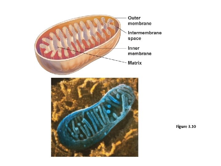 Figure 3. 10 