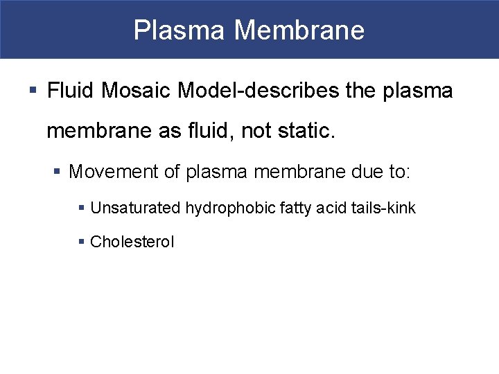 Plasma Membrane § Fluid Mosaic Model-describes the plasma membrane as fluid, not static. §