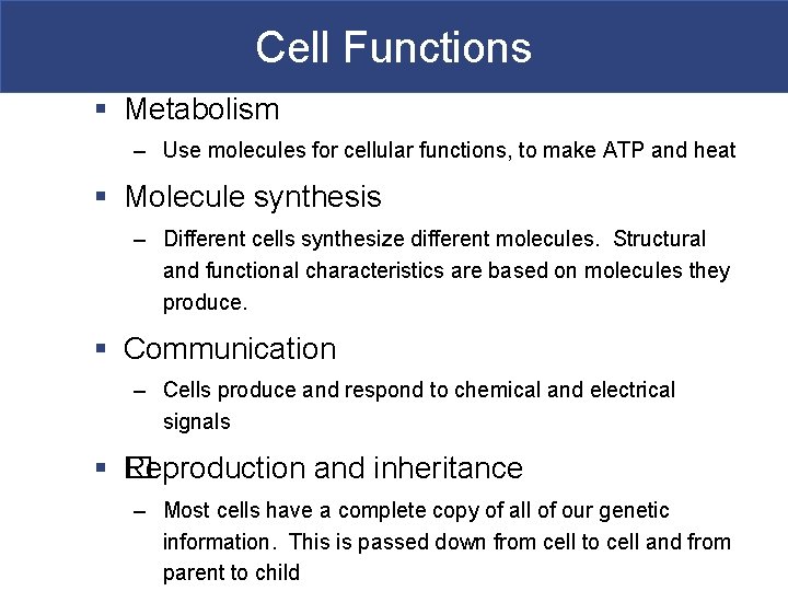 Cell Functions § Metabolism – Use molecules for cellular functions, to make ATP and