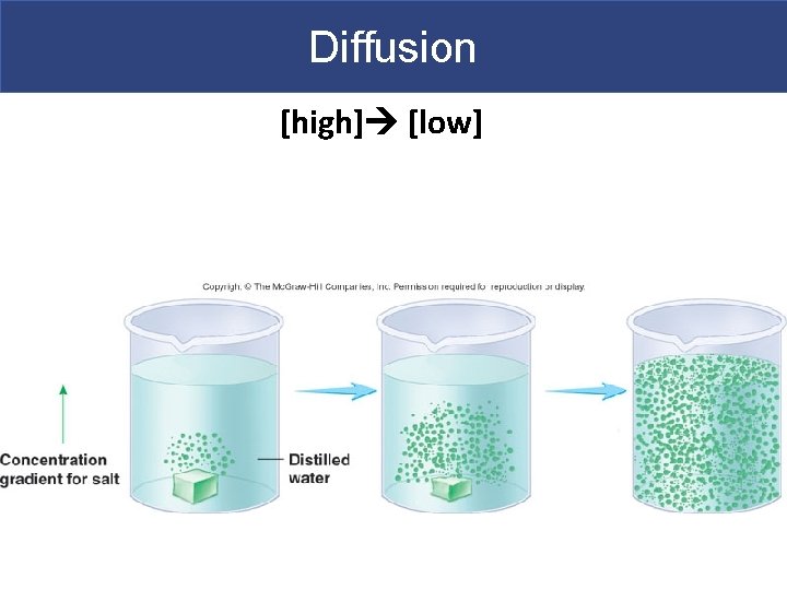 Diffusion [high] [low] 