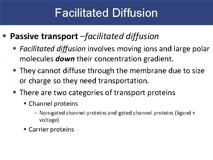 Facilitated Diffusion § Passive transport –facilitated diffusion § Facilitated diffusion involves moving ions and