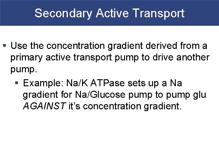 Secondary Active Transport § Use the concentration gradient derived from a primary active transport