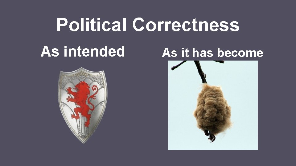 Political Correctness As intended As it has become 