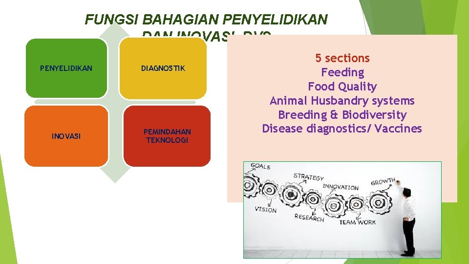 FUNGSI BAHAGIAN PENYELIDIKAN DAN INOVASI, DVS PENYELIDIKAN INOVASI DIAGNOSTIK PEMINDAHAN TEKNOLOGI 5 sections Feeding