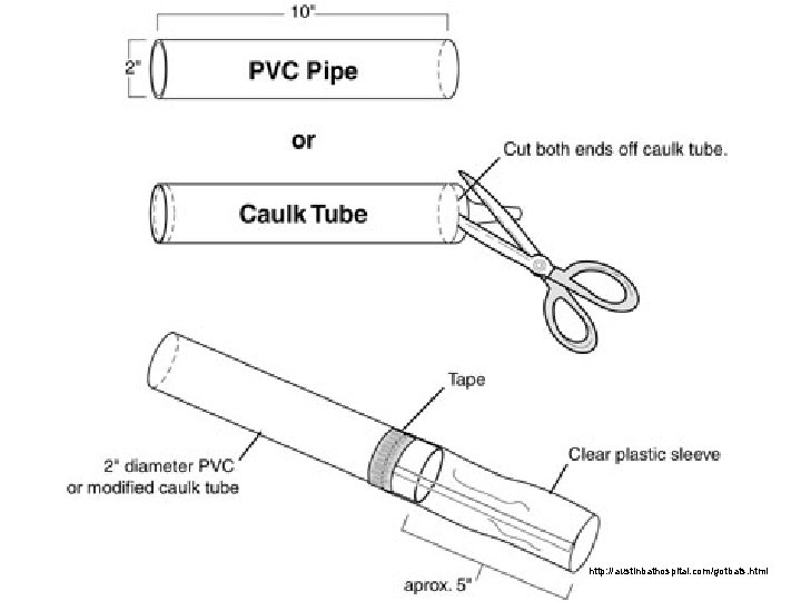 http: //austinbathospital. com/gotbats. html 