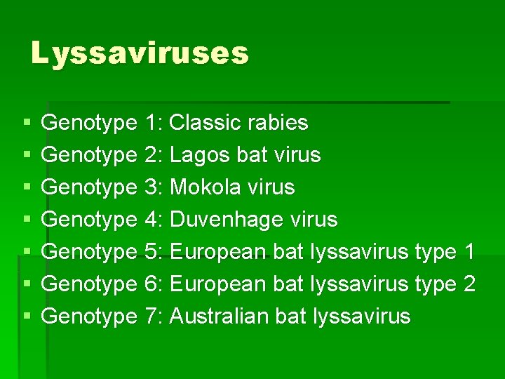 Lyssaviruses § § § § Genotype 1: Classic rabies Genotype 2: Lagos bat virus