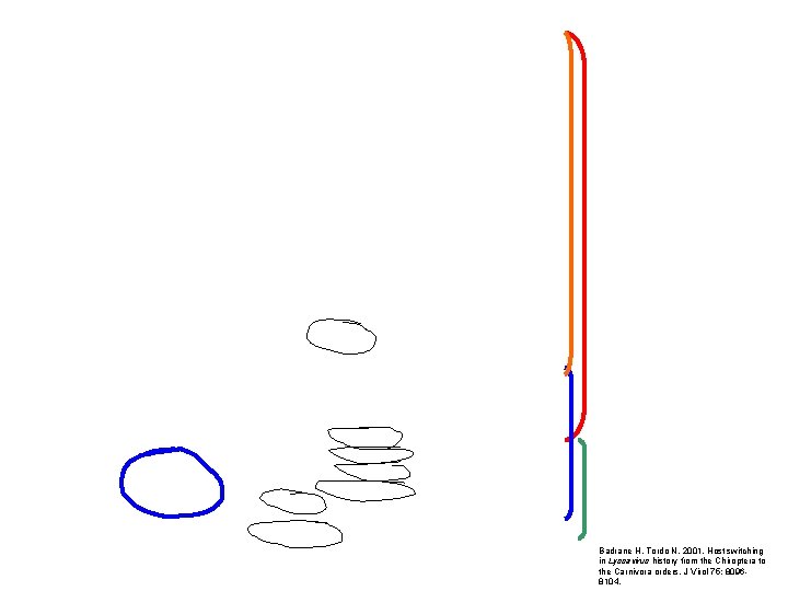 Badrane H, Tordo N. 2001. Host switching in Lyssavirus history from the Chiroptera to